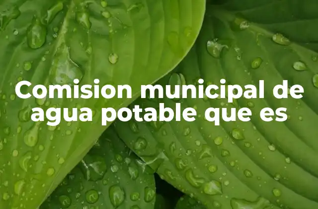 Comision Municipal de Agua Potable que es