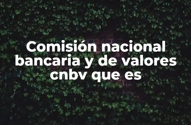 Comisión Nacional Bancaria y de Valores Cnbv que es 2 El papel de la CNBV en la economía mexicana
