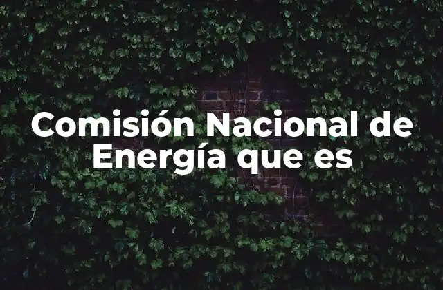Comisión Nacional de Energía que es