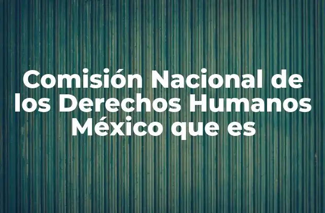 Comisión Nacional de los Derechos Humanos México que es