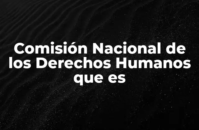 Comisión Nacional de los Derechos Humanos que es