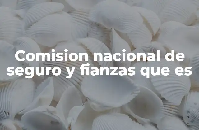 Comision Nacional de Seguro y Fianzas que es