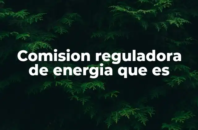 El papel de la CRE en el desarrollo energético nacional
