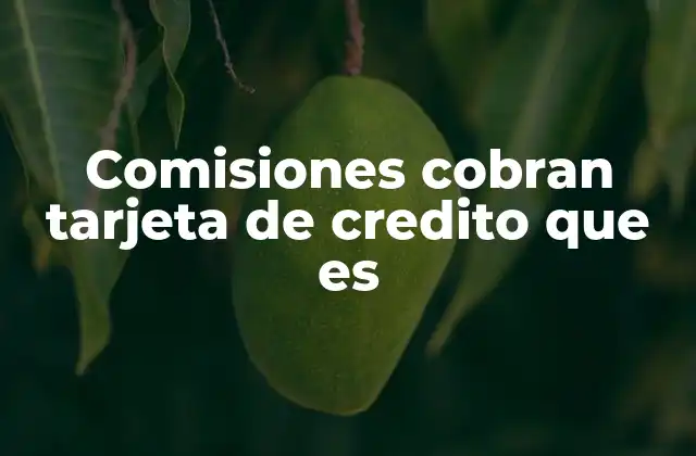 Comisiones Cobran Tarjeta de Credito que es 2 Cómo afectan las comisiones al uso cotidiano de una tarjeta de crédito