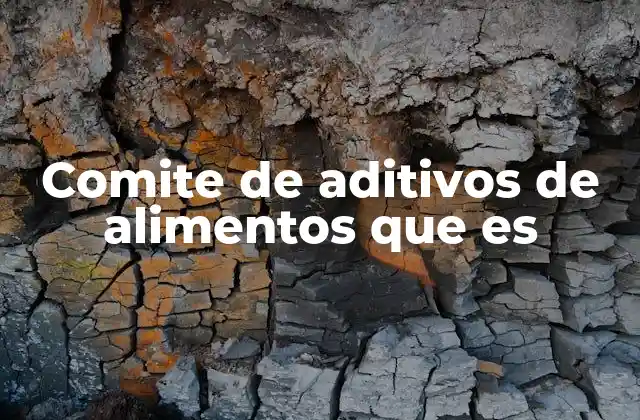 Comite de Aditivos de Alimentos que es