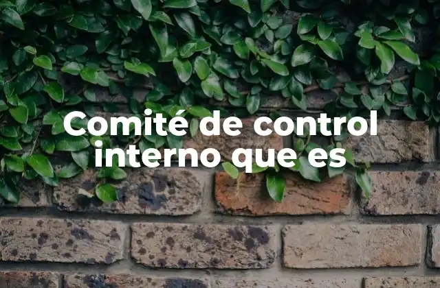 Comité de Control Interno que es