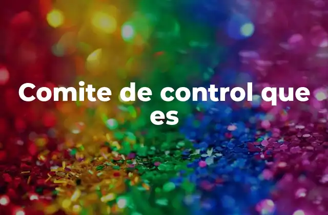 Comite de Control que es