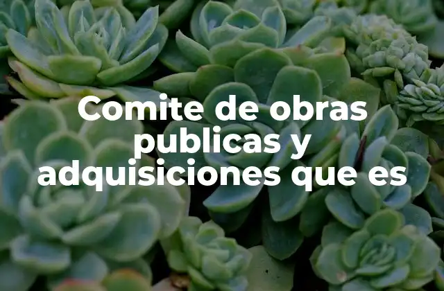 Comite de Obras Publicas y Adquisiciones que es