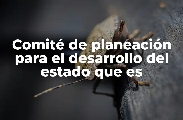 Comité de Planeación para el Desarrollo Del Estado que es