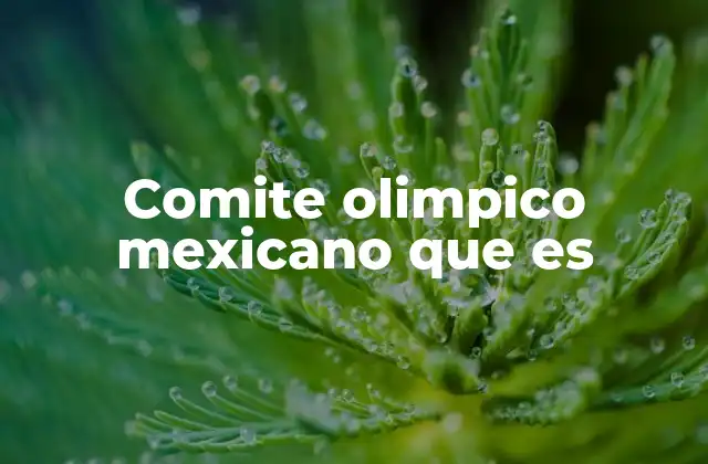 Comite Olimpico Mexicano que es