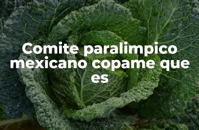 Comite Paralimpico Mexicano Copame que es