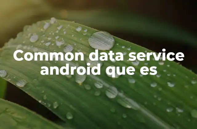 Cómo estructurar datos de manera eficiente en Android