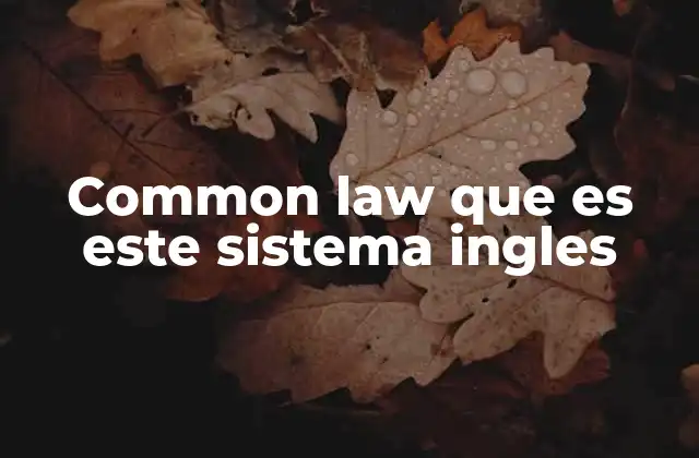 Common Law que es Este Sistema Ingles
