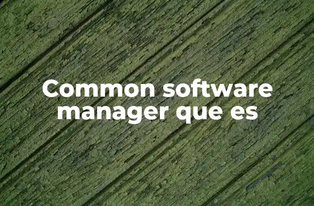 Common Software Manager que es