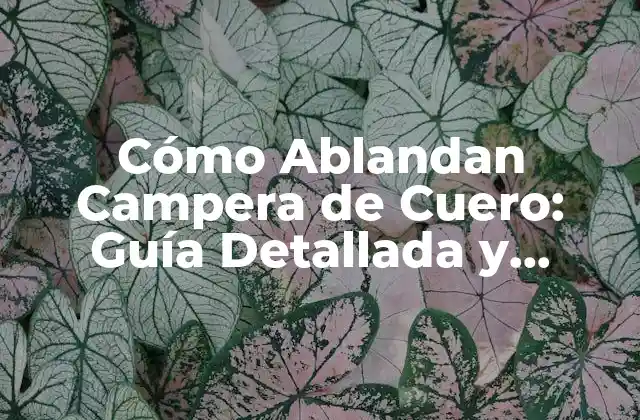 Cómo Ablandan Campera de Cuero: Guía Detallada y Completa