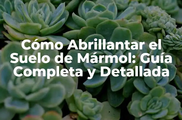 Cómo Abrillantar el Suelo de Mármol: Guía Completa y Detallada