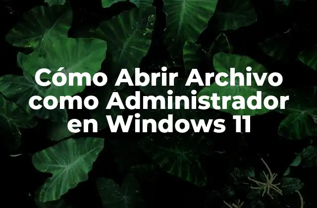 Cómo Abrir Archivo como Administrador en Windows 11