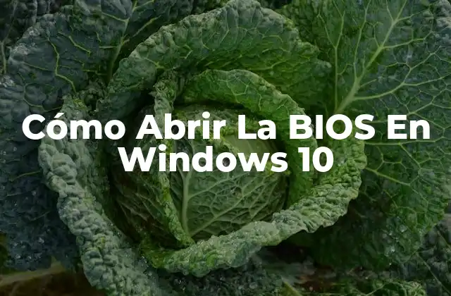 Cómo Abrir la Bios en Windows 10