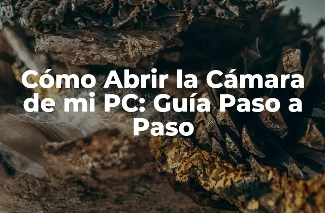 Cómo Abrir la Cámara de Mi Pc: Guía Paso a Paso