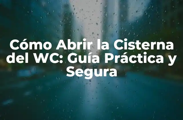 Cómo Abrir la Cisterna Del Wc: Guía Práctica y Segura