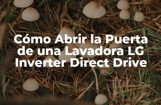 ¿Por qué es Importante Abrir la Puerta de la Lavadora LG Inverter Direct Drive?