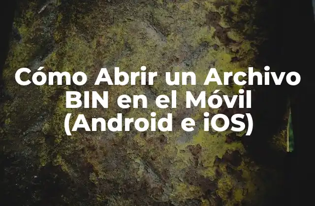 Cómo Abrir un Archivo Bin en el Móvil (android e Ios)