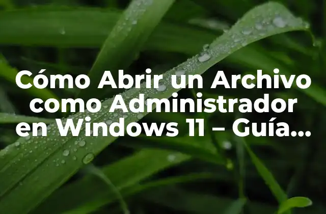 Cómo Abrir un Archivo como Administrador en Windows 11 – Guía Detallada