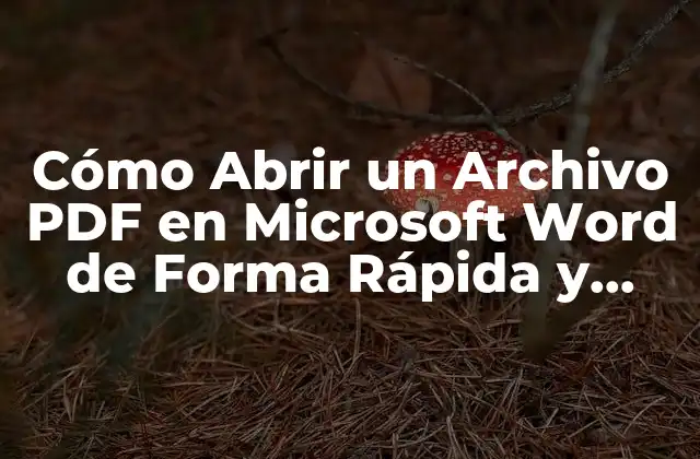 ¿Por qué Abrir un Archivo PDF en Microsoft Word es Importante?