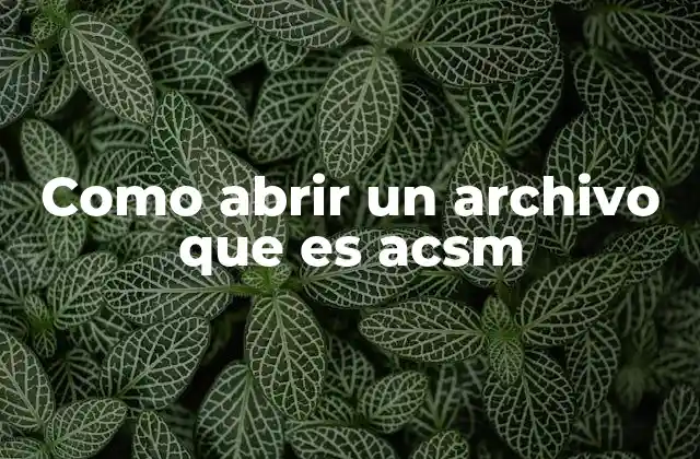 Como Abrir un Archivo que es Acsm