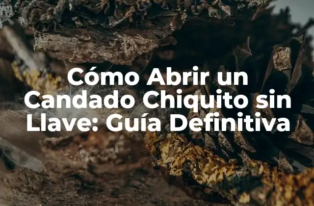 Cómo Abrir un Candado Chiquito sin Llave: Guía Definitiva