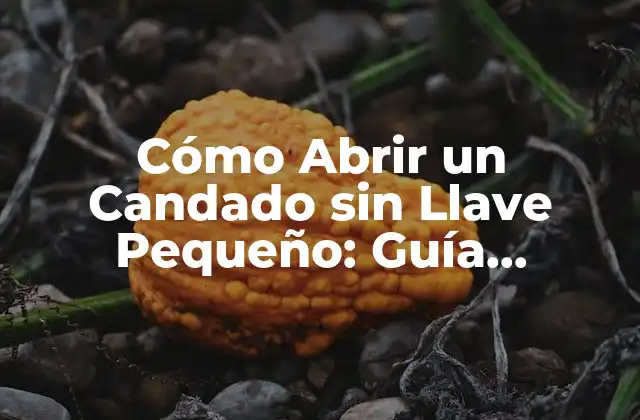 Cómo Abrir un Candado sin Llave Pequeño: Guía Detallada y Segura