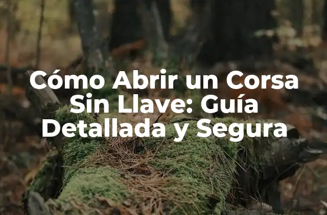 Cómo Abrir un Corsa sin Llave: Guía Detallada y Segura