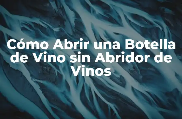 Cómo Abrir una Botella de Vino sin Abridor de Vinos 2 ¿Por qué es Importante Saber Abrir una Botella de Vino sin Abridor?