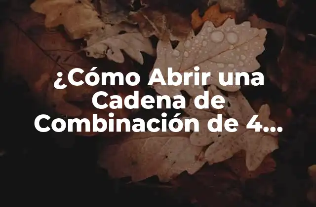 ¿cómo Abrir una Cadena de Combinación de 4 Dígitos de Forma Segura y Eficiente?