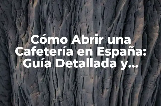 Cómo Abrir una Cafetería en España: Guía Detallada y Completa