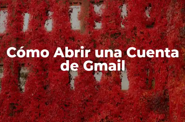 Cómo Abrir una Cuenta de Gmail