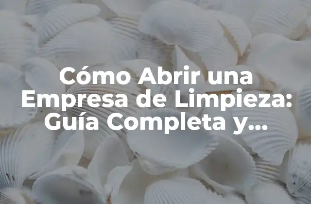 Cómo Abrir una Empresa de Limpieza: Guía Completa y Detallada