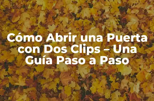 ¿Por qué Abrir una Puerta con Dos Clips es una Habilidad Útil?