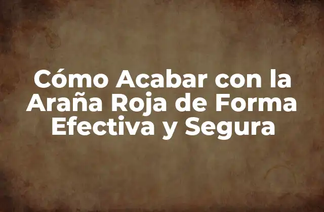 Cómo Acabar con la Araña Roja de Forma Efectiva y Segura