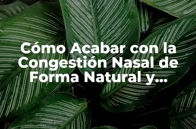 Cómo Acabar con la Congestión Nasal de Forma Natural y Efectiva