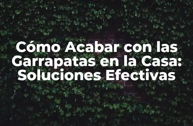 Cómo Acabar con las Garrapatas en la Casa: Soluciones Efectivas 2 ¿Por qué las Garrapatas se Encuentran en la Casa?