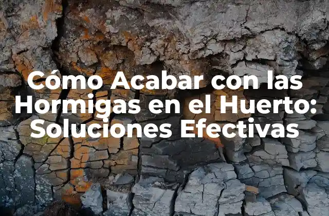 Cómo Acabar con las Hormigas en el Huerto: Soluciones Efectivas