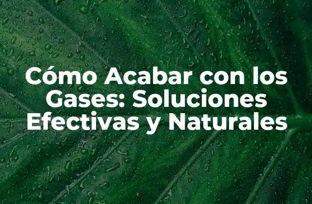 Cómo Acabar con los Gases: Soluciones Efectivas y Naturales