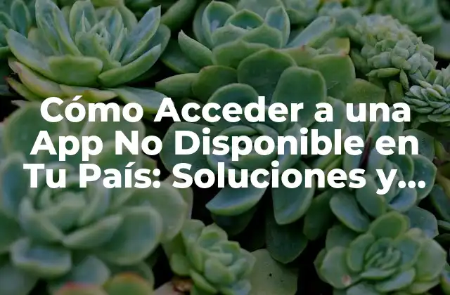 Cómo Acceder a una App No Disponible en Tu País: Soluciones y Trucos