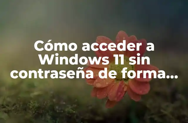 Cómo Acceder a Windows 11 sin Contraseña de Forma Segura