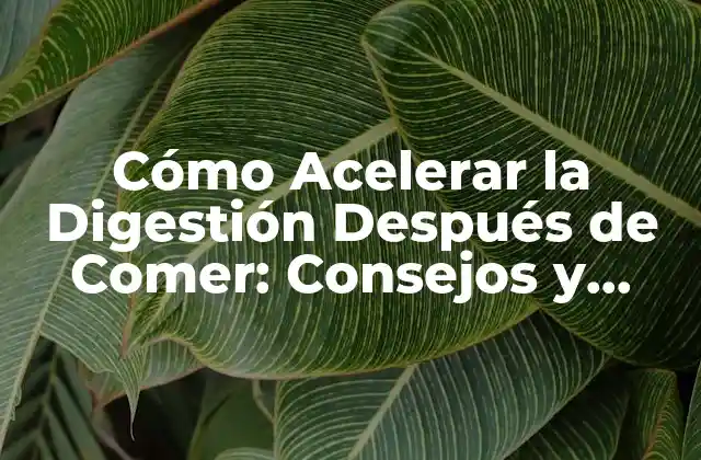 Cómo Acelerar la Digestión Después de Comer: Consejos y Trucos