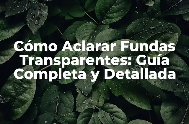 Cómo Aclarar Fundas Transparentes: Guía Completa y Detallada