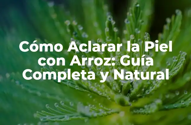Cómo Aclarar la Piel con Arroz: Guía Completa y Natural 2 ¿Cómo Funciona el Arroz en la Piel?