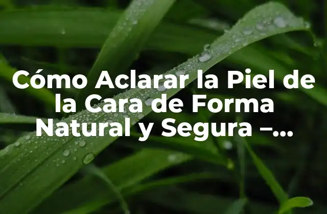 Cómo Aclarar la Piel de la Cara de Forma Natural y Segura – Consejos y Tratamientos Efectivos
