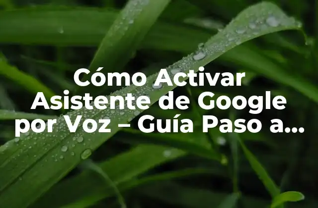 ¿Qué es el Asistente de Google por Voz?